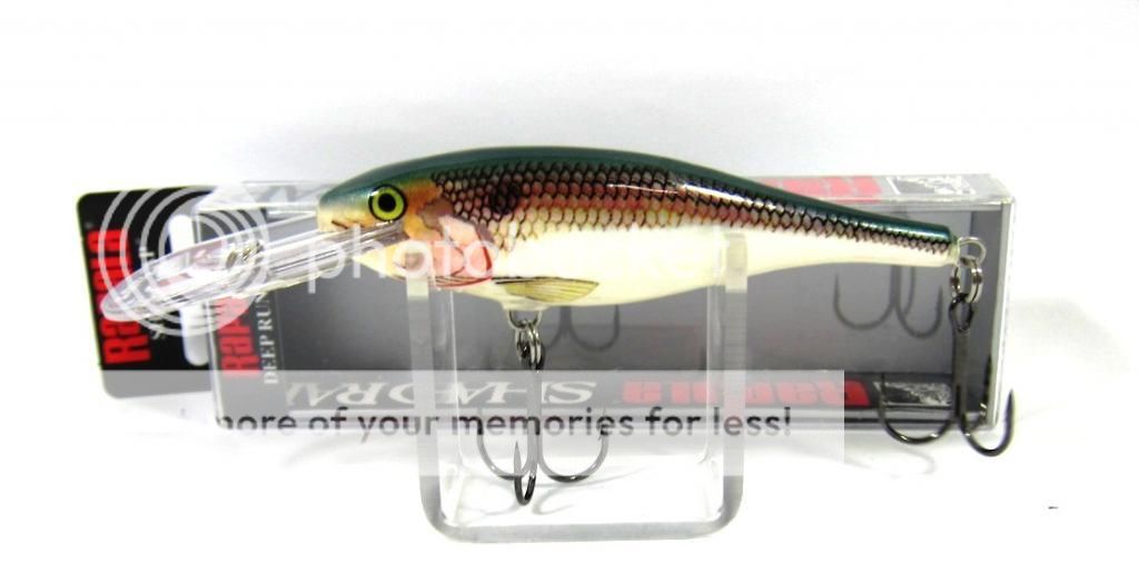 Rapala Shad Rap Deep Runner Floating Lure SR09/SD (8592) eBay